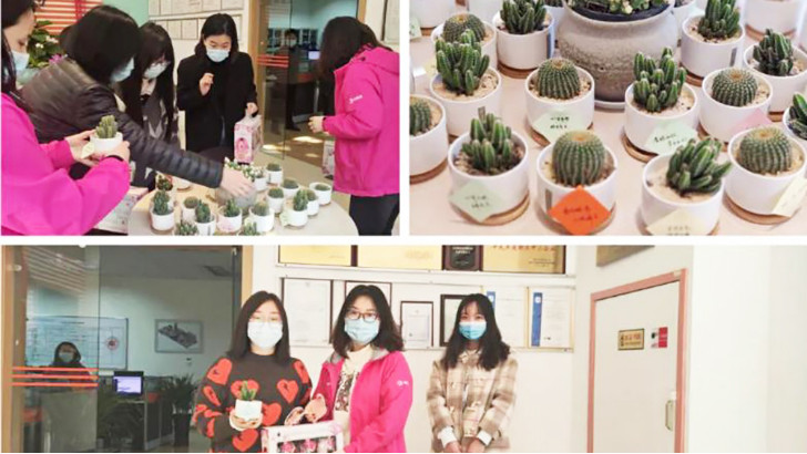 三八婦女節(jié)，向閃閃發(fā)光的環(huán)保女神們致敬