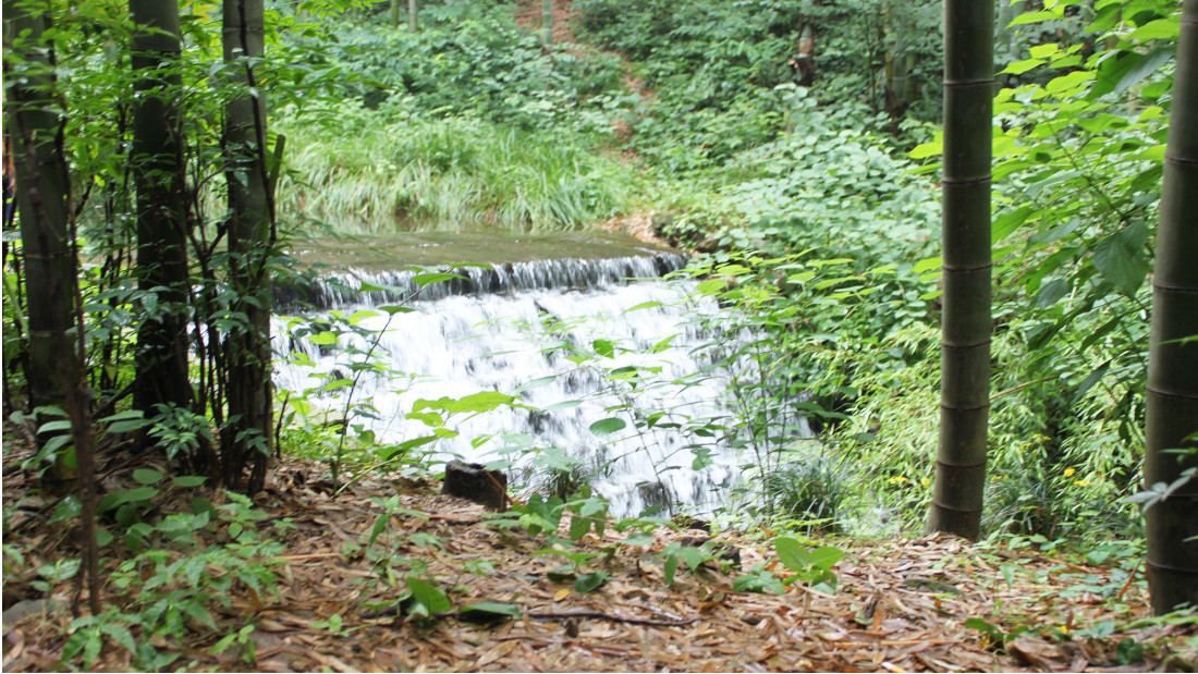 三月環(huán)保相關(guān)節(jié)日科普